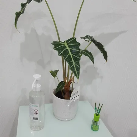 Apartamento Appart' Cosy Proche Mulhouse Illzach
